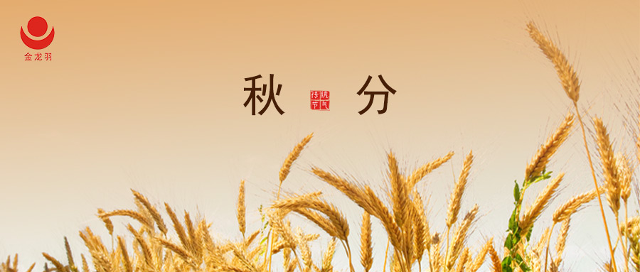 ��� I �з���ɫ����������