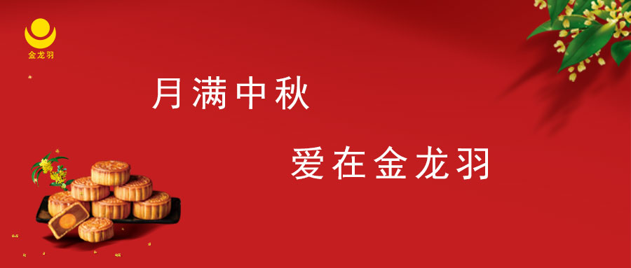 ��������������ag���޼�������